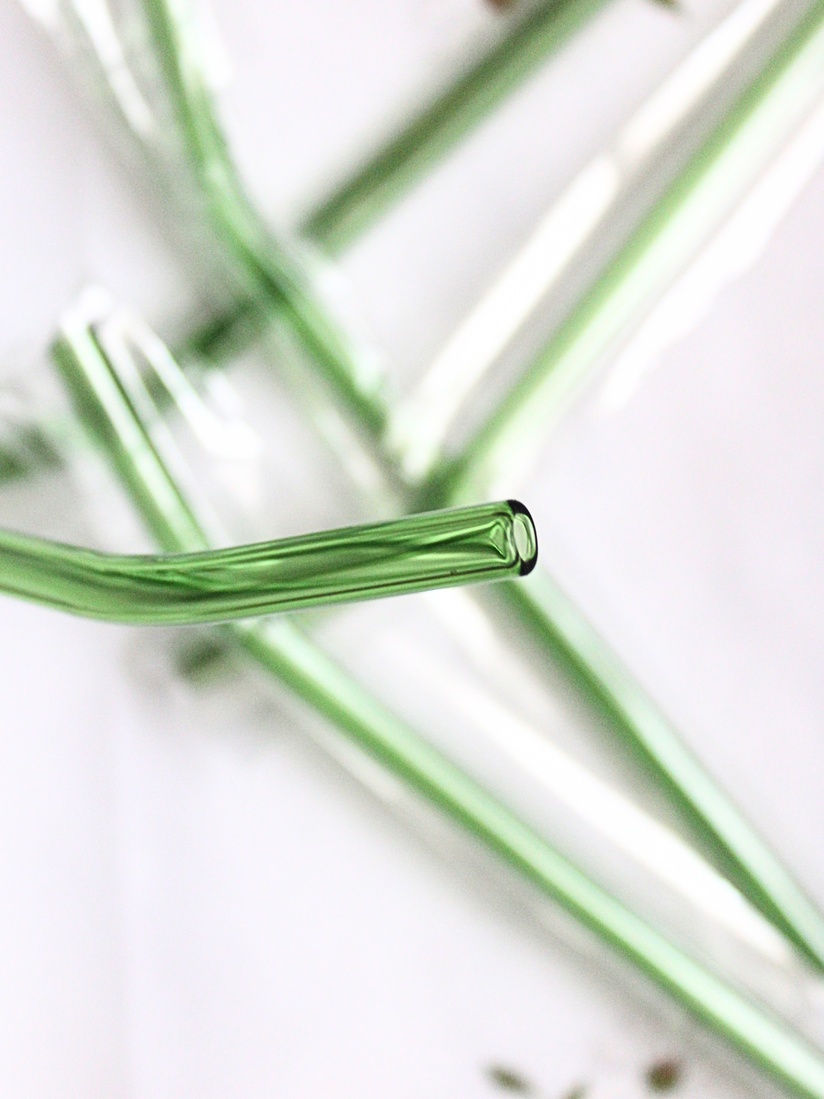 Brčko zelené